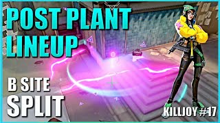 KILLJOY LINEUPS  SPLIT  Post Plant Molly Nanoswarm Setup Guide 17  B Site  New Default [upl. by Sandra718]