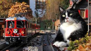 Gartenbahn Herbstimpressionen [upl. by Kristoffer613]