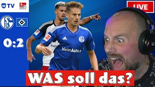 WAS MACHT BRUNNER DA  Schalke 04 vs HSV 02 [upl. by Aisiat378]