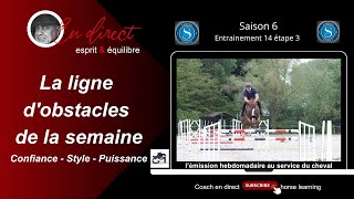 La ligne dobstacles de la semaine Confiance Style Puissance coachendirecthorselearning [upl. by Landrum]