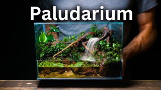 I Made a Paludarium With a Working Waterfall Here’s How [upl. by Ennairoc]