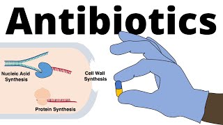 Antibiotics  Mechanisms of Action Classification and Antibiotic Resistance [upl. by Newhall]