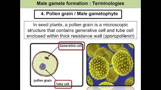 Reproduction amp Development in Plant [upl. by Aicilet635]