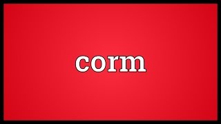 Corm Meaning [upl. by Nivri]