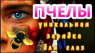 Уникальная зарядка для глаз quotПчелыquot [upl. by Eelta]