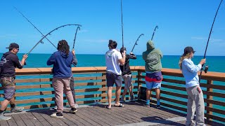 My Addiction To Chaos Florida Pier Catch Clean amp Cook [upl. by Lesslie570]