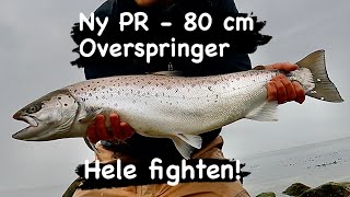 Havørredfiskeri Forår Ny PR 80cm  Mit livs Største Havørred [upl. by Diaz]