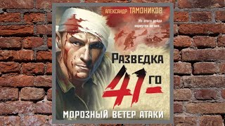 АвторАлександр Тамоников АудиокнигаМорозный ветер атаки ЧитаетЮрий Красиков [upl. by Geno]