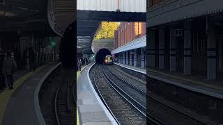 A class 375 entering Tunbridge Wells via Wells Tunnel Sunday 27 October 2024 [upl. by Corso843]