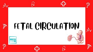 Fetal circulation and Mnemonics  Explained  Lecture Cardiology  Medi Trix [upl. by Zelde]