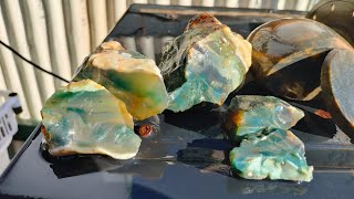 Cutting slices from beautiful Canterbury New Zealand Agates [upl. by Aisital]