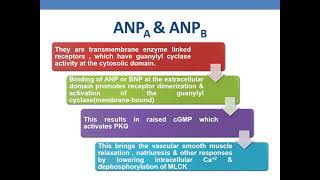 NATRIURETIC PEPTIDES [upl. by Irrej198]