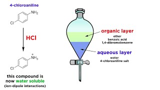 Separating Components of a Mixture by Extraction [upl. by Nodaj]