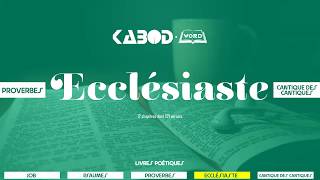 « Ecclésiaste »  LAncien Testament  La Sainte Bible audio VF Complète [upl. by Suzzy]