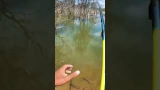 Fishing for large predatory fish on the edge of the reservoir jonespetualang [upl. by Pish]