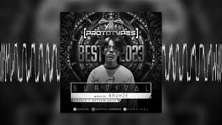 Prototypes Records  Best of 2023 PR101 Mixed by Bruhze [upl. by Slotnick]