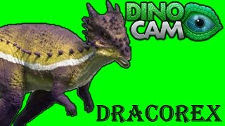 Dino Dan Treks Adventure dracorex green screen Dino Dan Dino cam [upl. by Madigan]