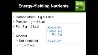 Easy Guide How to Calculate Calories [upl. by Asiek]