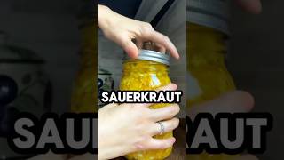 This is what sauerkraut does to your body health facts healthprotips nutritionfacts westerndie [upl. by Selegna852]