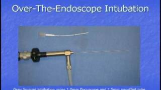 MDSvetcom Endoscope Intubation of Small Mammals  Dr Dan Johnson [upl. by Hsoj917]