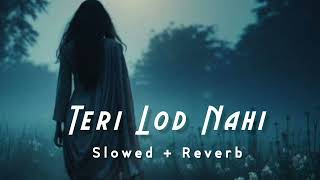 Teri lod Nahi Song Slowed Reverb  Teri Lod Nahi Inder Chahal Lyrics  Inder Chahal [upl. by Llamaj186]