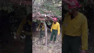 Adventures of a Wildland Firedog Shoe Fly Fire [upl. by Thurston]