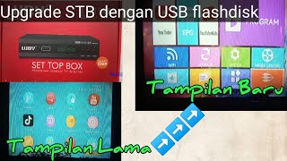 Cara Upgrade Set Top Box Luby DVBT202 dengan USB Flashdisk [upl. by Lirba]