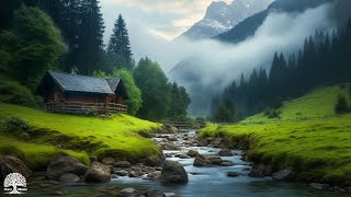 Beautiful Relaxing Music  Stop Overthinking Stress Relief Music Sleep Music Calming Music 1 [upl. by Esmeralda85]