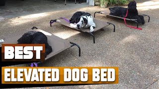 Best Elevated Dog Bed In 2024  Top 10 Elevated Dog Beds Review [upl. by Drusy]