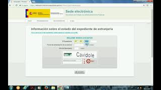 Tutorial consultar el estado de un expediente de extranjería en Internet [upl. by Daveta921]