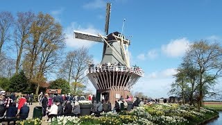 Keukenhof 2016 [upl. by Caesar]