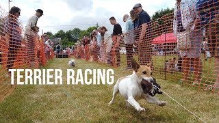 Terrier Racing  Sussex [upl. by Odradlig]