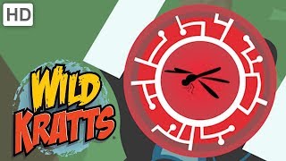 Wild Kratts  Brilliant Bugs Creature Powers  Kids Videos [upl. by Ledoux]