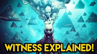 Everything You Need To Know About The Witness For The Final Shape [upl. by Grefe]