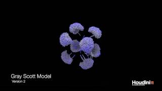 Particle Advection by Reaction Diffusion [upl. by Orville180]