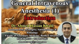 Introduction to general anaesthesia in veterinary field مقدمة عن التخدير العام في الحقل البيطري [upl. by Nwahser]