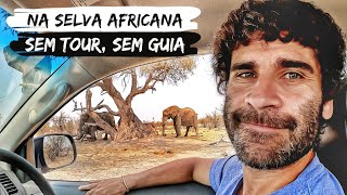 SAFARI NA ÁFRICA POR CONTA PRÓPRIA  Experiência surreal [upl. by Threlkeld]