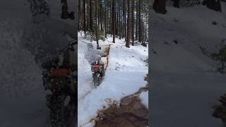 Snow mess ktm 2stroke 2t enduro 300xc endurolife braap endurotraining hardenduro bhfyp [upl. by Nahsaj250]