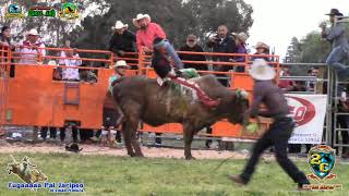 PRIMERO JARIPEO 2019 EN LA CAPITAL DEL JARIPEO COLUSA CALIFORNIA [upl. by Pedaiah]