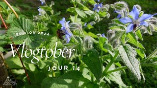 Vlogtober 2024 jour 14 [upl. by Ahon]