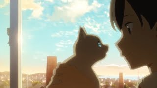 ♡「AMV」Nakitai Watashi wa Neko wo Kaburu  Kento Hinode amp Miyo Sasaki  Touch [upl. by Virgy]