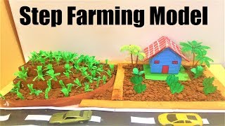 step farming model making project  DIY  science project  howtofunda  agriculture model [upl. by Eirffej]