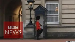 Buckingham Palace Guardsman doing pirouettes  BBC News [upl. by Kyte]