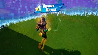 ROGUE SKINLEBEAU’S BO PICKAXE IN FORTNITE Solo Full Gameplay EpicPartner [upl. by Warfeld571]