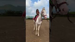 Dhruvi Horse 🐎 Riding  horse horses ghoda horseriding horselover ytvideo shortsfeed dhruhi [upl. by Rheims864]