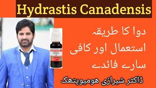 Hydrastis Can q Uses Homeopathic Medicine Hydrastis q Benefits  Dr Sherazi Homeopathic [upl. by Ailliw]