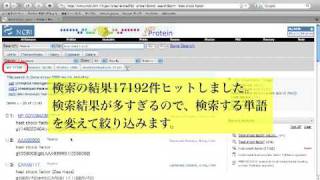 Entrezを使って配列を検索する ヒトのheat shock factorのアミノ酸配列を得る [upl. by Adnavoj616]