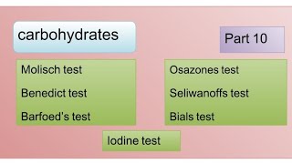 Molisch  Benedict  Barfoeds  seliwanoffs  Bials  Osazone amp Iodine test [upl. by Lema]