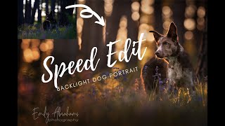 Speed Edit  Backlit Journey dog portrait [upl. by Tor260]