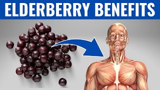 ELDERBERRY BENEFITS  13 Amazing Health Benefits of Elderberry❗️ [upl. by Ishmael465]